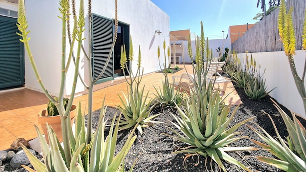 A modern outdoor area with a white building, potted plants, and a clear sky. - Casa Kody - with BBQ, Fiber optic, private parking and silence.  (La Oliva)
