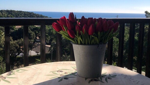 Un balcón con una maceta de tulipán rojo, una mesa con mantel estampado y una vista panorámica del mar y las colinas.