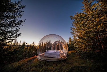 1 habitación y ropa de cama
