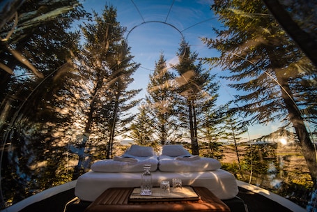 A cozy outdoor seating area with a view of tall trees and a clear sky.