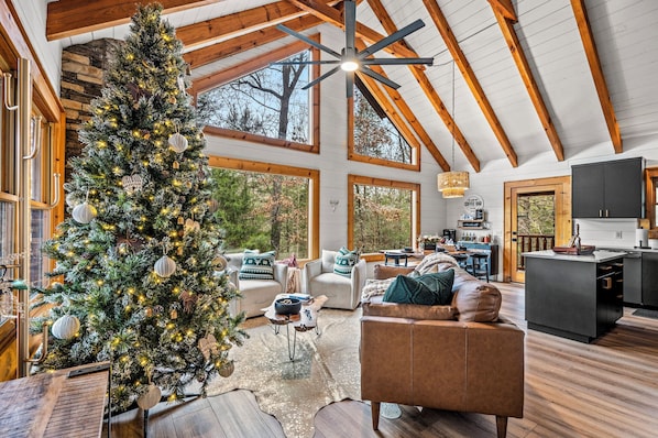 Smart TV, fireplace, video games