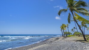 Una playa con palmeras y un cielo azul despejado.