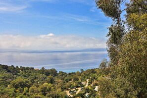 Eine Küstenlandschaft mit üppigem Grün, wolkenlosem Himmel und Blick aufs Meer.
