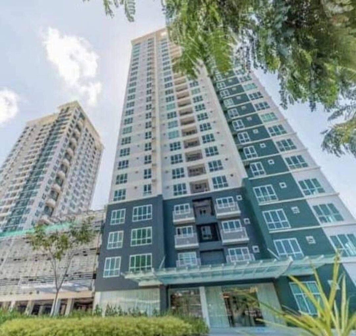 Imagen de perfil del propietario o de la propietaria