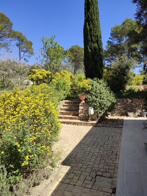 A paved pathway leading to a stone staircase surrounded by lush greenery and yellow flowering plants. - Spacious garden level in a quiet area close to tourist activities
 (Entrecasteaux)