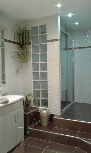 Shower, hair dryer