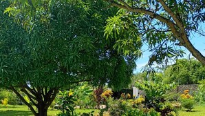 A stone pathway in a lush garden with various plants and trees. - Villa m. Pool, Tropischen Garten & ca 7 Minuten zum Herrlichen Weißen Sandstrand (Msambweni)