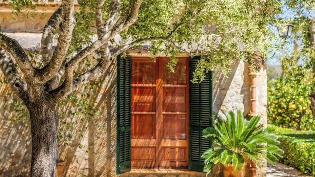 Ein Steinhaus mit Holztür und grünen Fensterläden, ein Baum im Vordergrund und ein Blumentopf zur Rechten.