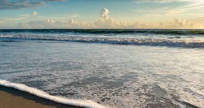 Newly Renovated! Just steps from the beach