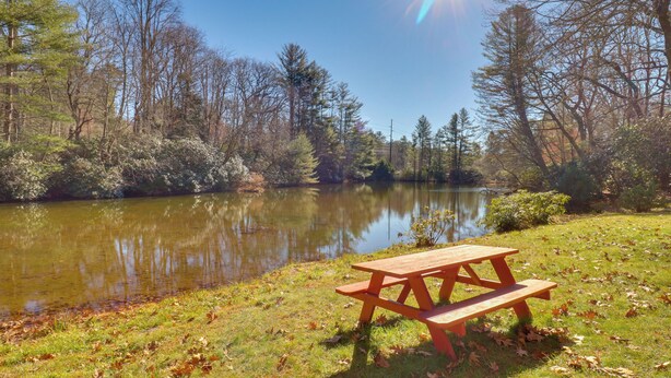 A picnic table by a lake surrounded by trees.