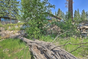 House (2 Bedrooms) | Interior - Victor Woodland Cabin Retreat w/ Fire Pit (Victor)