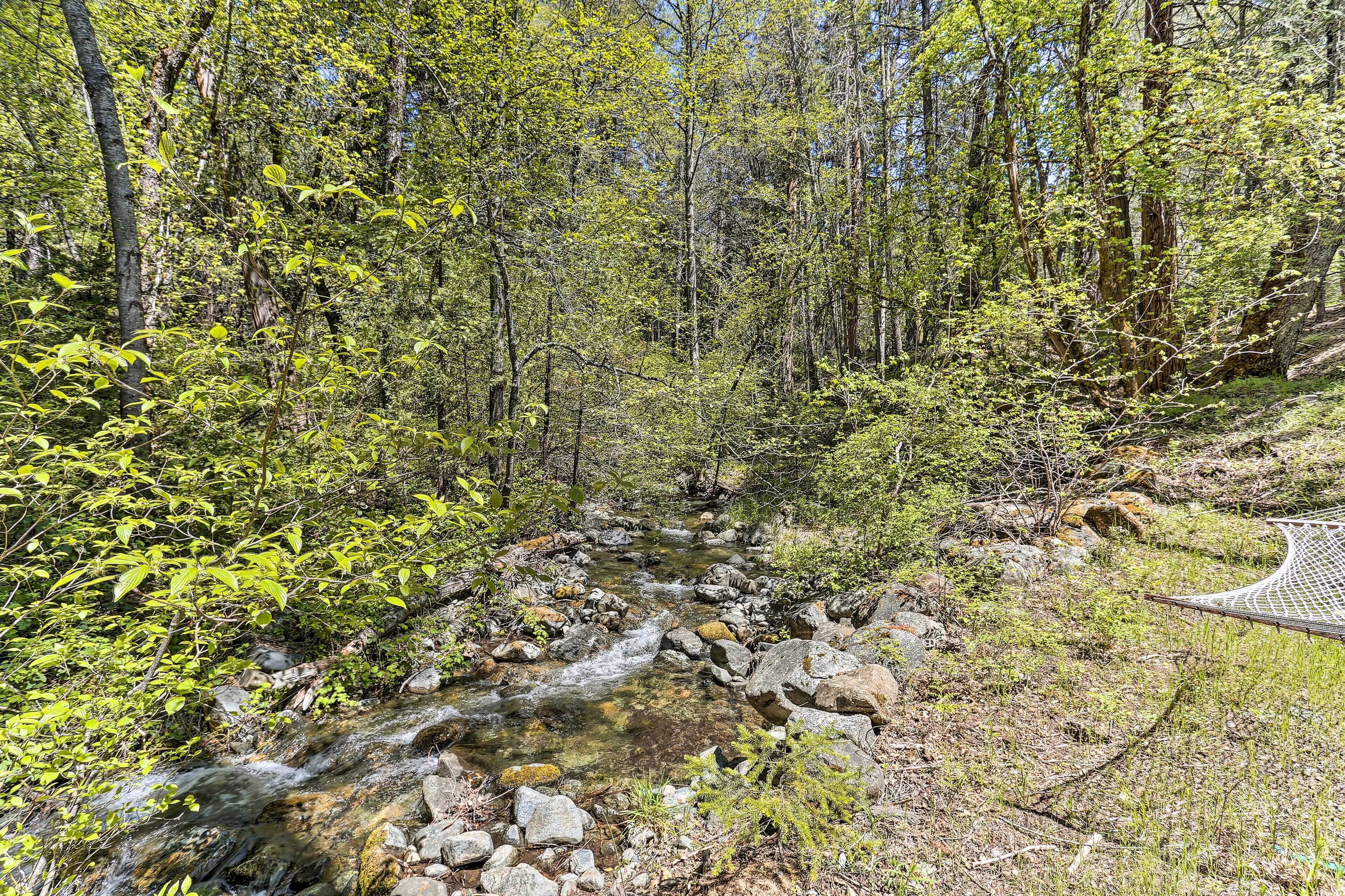 A forested area with a stream, rocks, and a walking path.