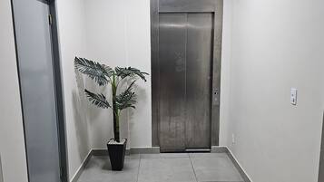 Un pasillo con una planta en maceta, una puerta de ascensor cerrada y una puerta a la izquierda.