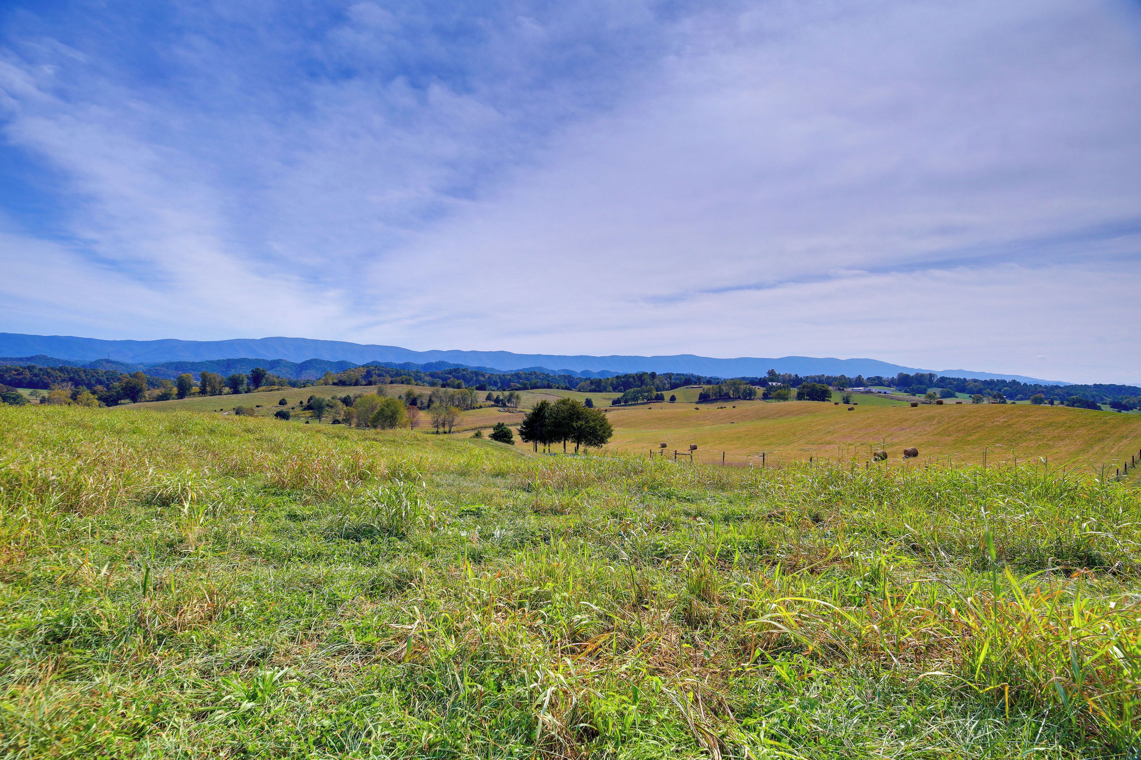 Un campo amplio y abierto con algunos árboles dispersos y montañas distantes bajo un cielo despejado.