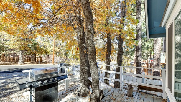 Unclassified image, 1 of 25, button - Sugarloaf Cabin w/ Fireplace Near Big Bear Lake (Sugarloaf)