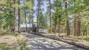 A paved driveway leading to a cabin surrounded by tall pine trees. - Rustic Alto Retreat - Near Hiking, Skiing & More! (Alto)