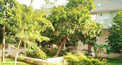 9 mins to the beach, tranquil beautiful peaceful apartment