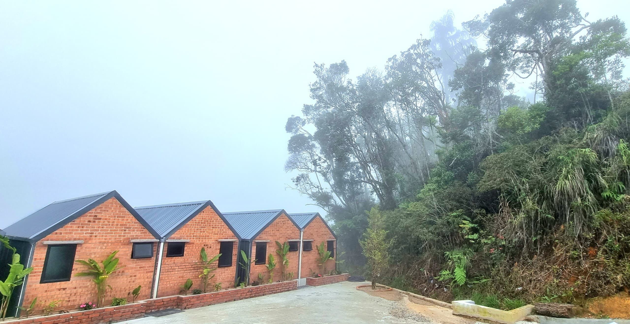 A row of brick buildings with pitched roofs, surrounded by dense greenery and trees.
