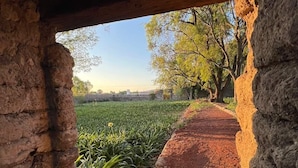 Garden - Hacienda Real Love & Wellness San Miguel de Allende (San Miguel de Allende)
