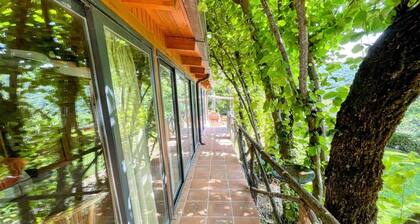 Exclusive Spoleto Country Park Pool Park Activities Mountain View Sleeps 28