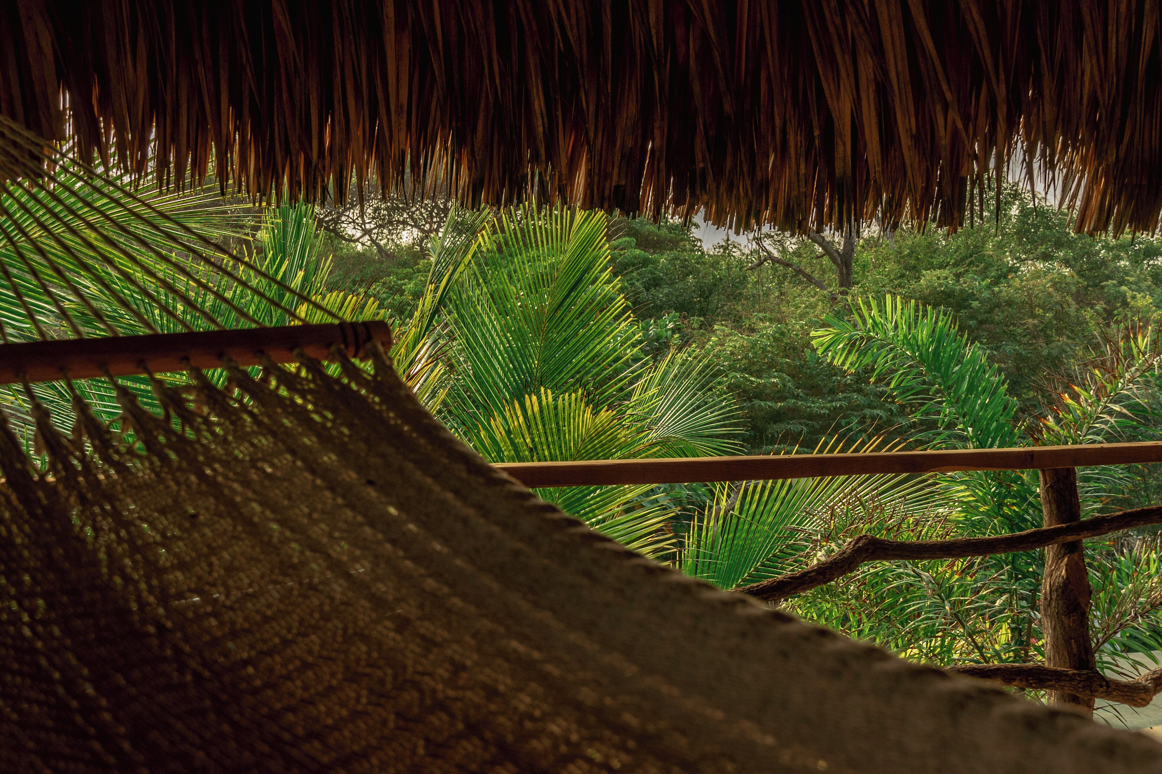 A hammock with a thatched roof, surrounded by lush green foliage.