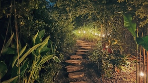 Un chemin de pierres serpentant à travers un jardin la nuit, bordé d’une végétation luxuriante et éclairé par une lumière douce.
