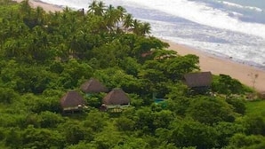 Une plage bordée de palmiers et parsemée de huttes aux toits de chaume.