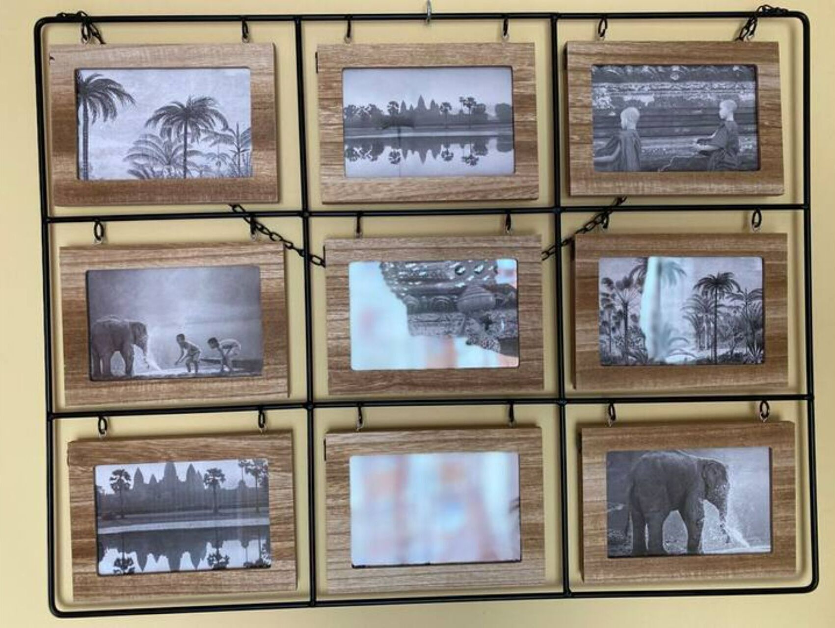 Un mur orné de neuf photographies encadrées, disposées en une grille de 3 x 3, chacune représentant des paysages naturels et des scènes de la vie sauvage différents.