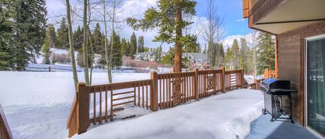 Premier Condo | Terrace/patio