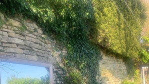 A stone wall with ivy, a window, and a wooden bench. - Traditional Cotswold cottage with stunning views and walking (Stroud)