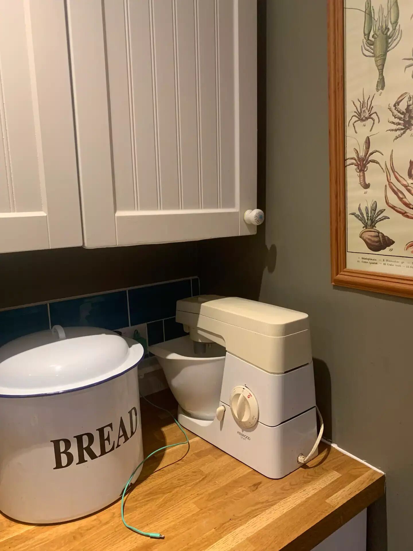 A kitchen with a bread container, a Kenwood blender, and a framed botanical illustration on the wall.
