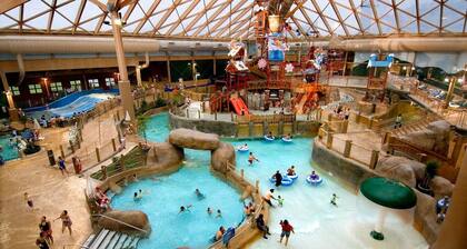 Walk 2 Ski: Groups, Kids, Spacious & Well-Stocked