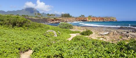 Un paisaje costero con un sendero de tierra que lleva a la playa, rodeado de exuberante vegetación y acantilados rocosos.