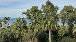 A coastal landscape with palm trees and a view of the sea. - Apartamento en la Playa las Marinas en Denia (VC)