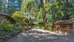 A gravel driveway leading to a wooden cabin with a steep staircase, surrounded by dense forest and ferns.