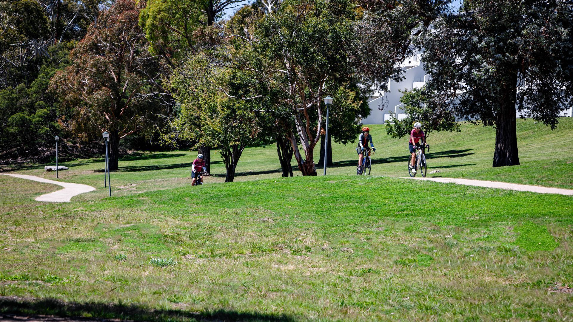 A park with a paved path, trees, and cyclists.