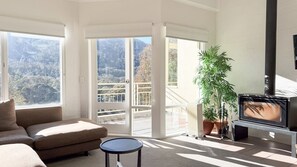 Una televisión, una chimenea