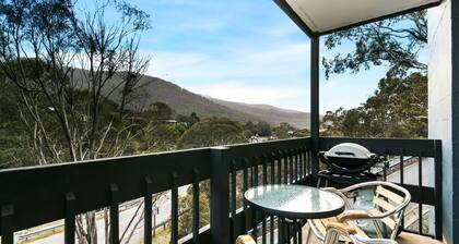 Bobuck 3B offers affordable accommodation right in the center of Thredbo with stunning mountain view
