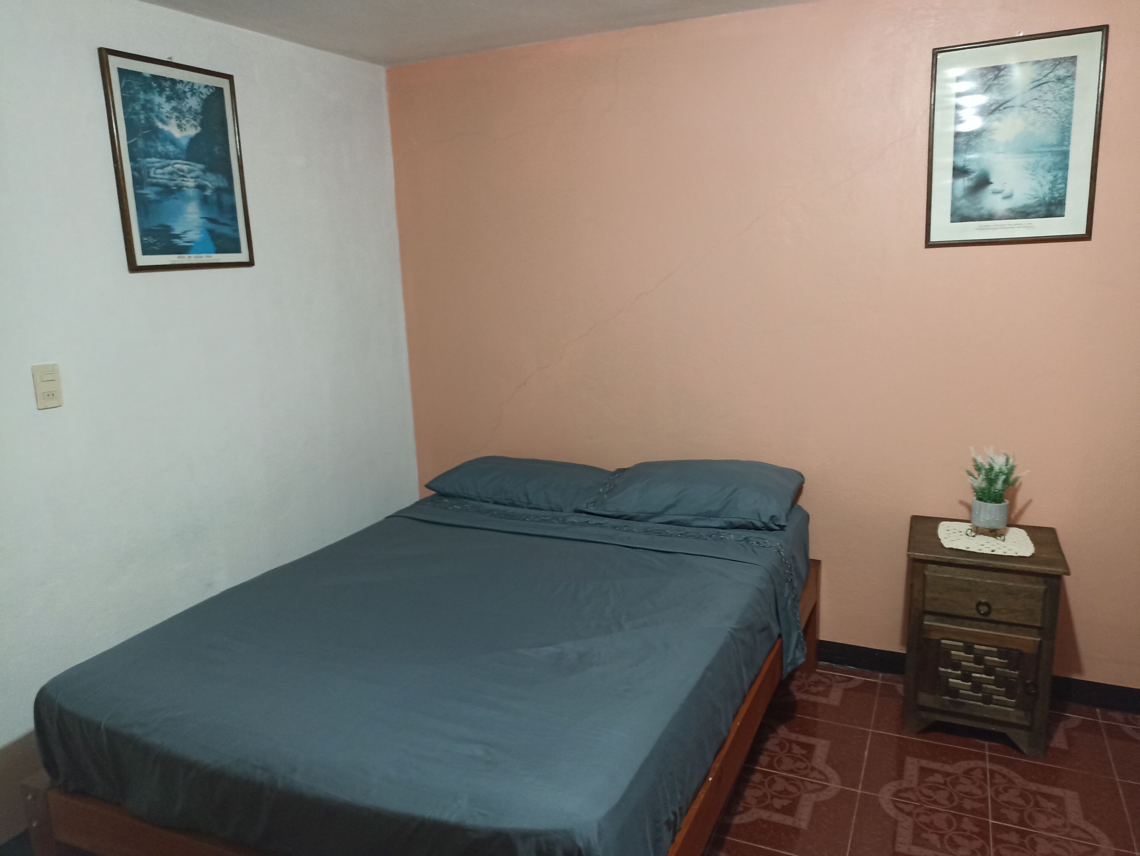 Una cama individual con colchón y almohadas azules, una mesita de noche con una planta y dos cuadros en las paredes.