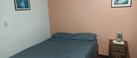 Una cama individual con colchón y almohadas azules, una mesita de noche con una planta y dos cuadros en las paredes.
