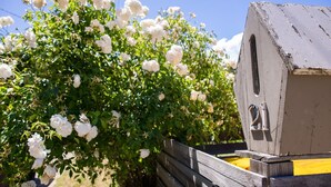 Een houten brievenbus met het nummer 21, een houten bankje en een struik met witte bloemen.