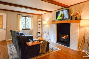 Televisión, chimenea y videojuegos 