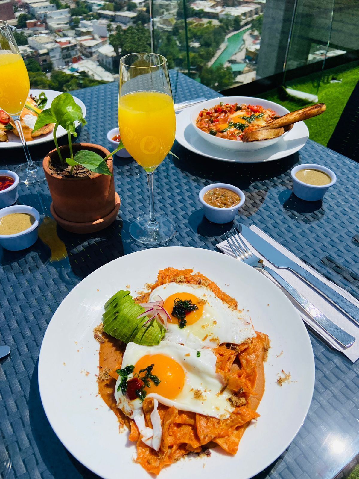 Foto - Ecovergel Santa Lucia