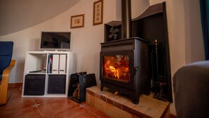 A living room with a wood-burning stove, a television on a stand, and a shelving unit with books and decorative items. - Villa Lorena Avec Grande Piscine Privée, au Calme et a 3 km de la mer (L'Ametlla de Mar)