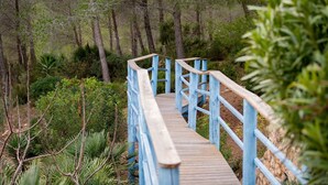 A wooden bridge with blue railings in a forested area. - Villa Lorena Avec Grande Piscine Privée, au Calme et a 3 km de la mer (L'Ametlla de Mar)