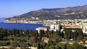 A coastal town with a prominent mountain in the background, a clear blue sea, and a mix of residential and commercial buildings. - The White Lodge (Sorrento)