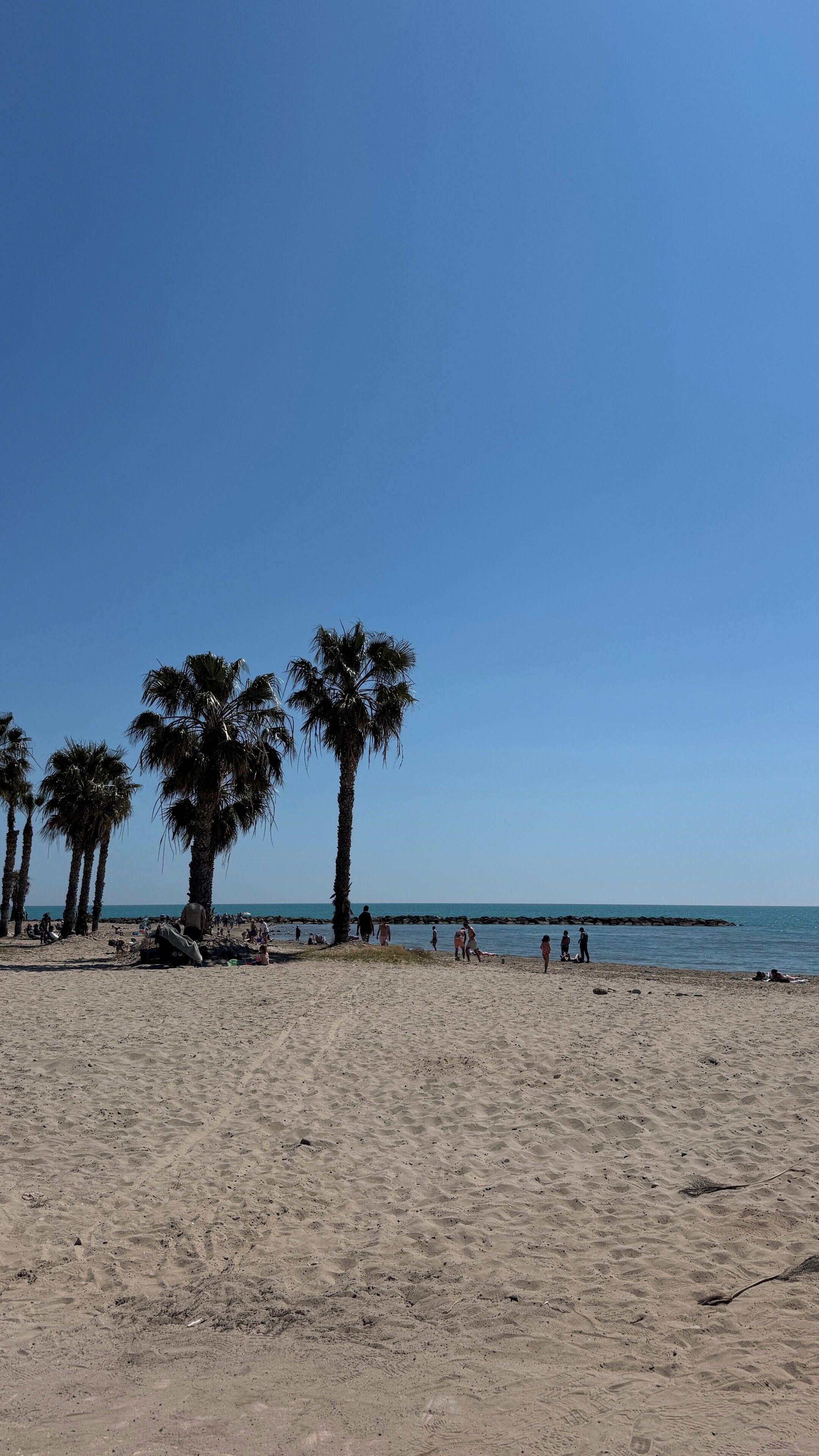 On the beach