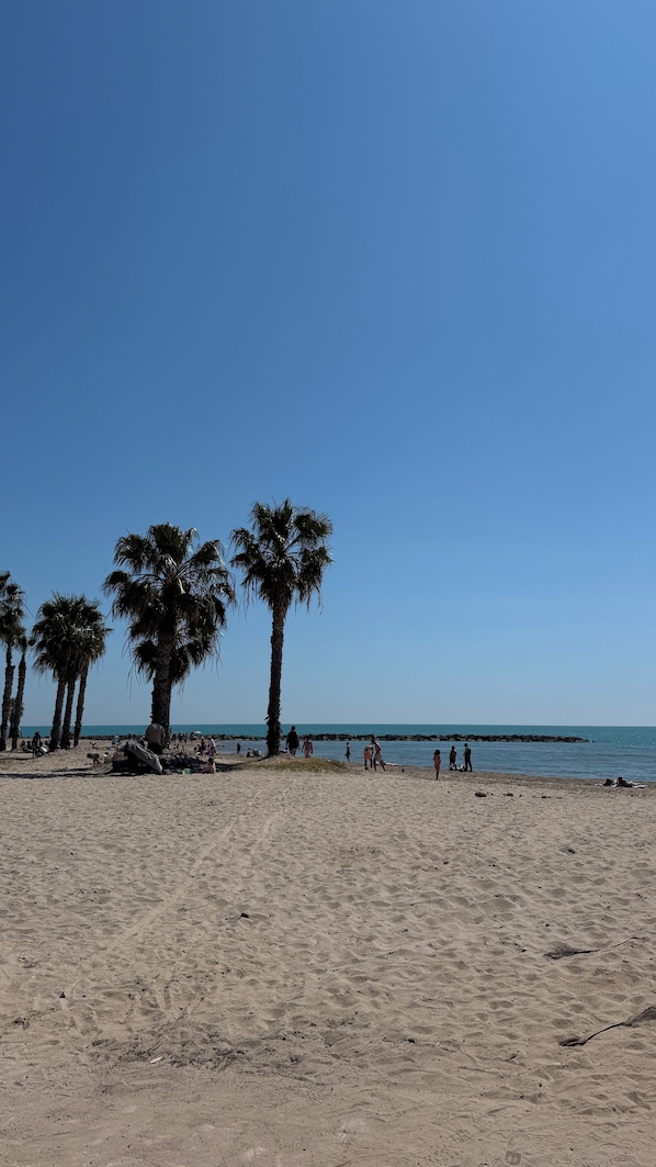 A sandy beach with palm trees and a clear blue sky.