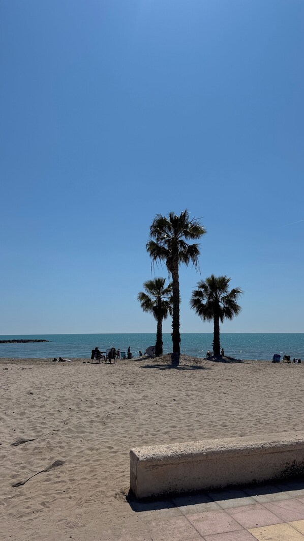 Une plage bordée de palmiers, un banc en béton et un ciel bleu azur.