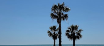 Vivienda Turística SunbeachXilxes CV-VUT0042192-CS